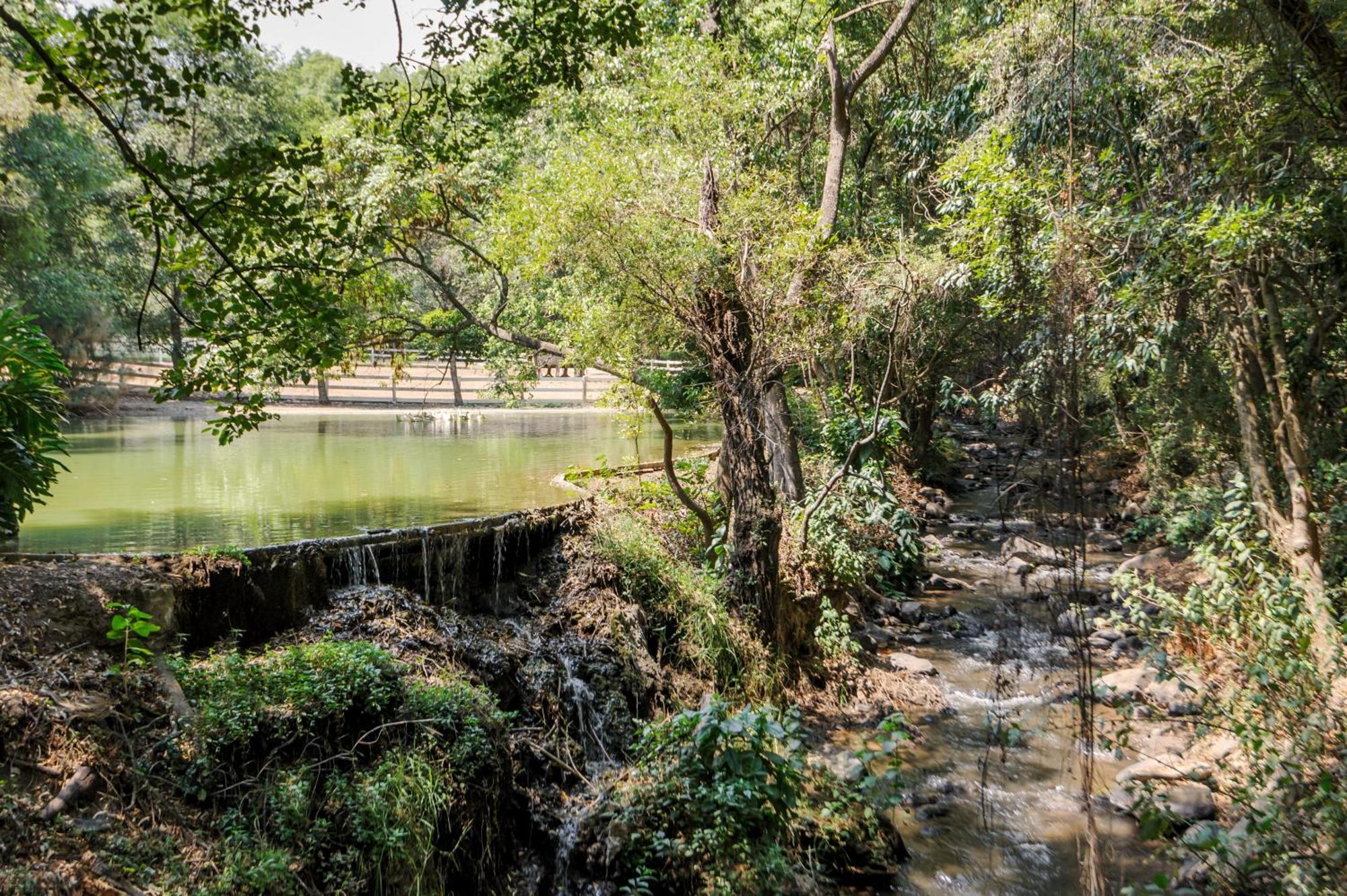 El Salto, Luxury Ranch With Lake View Valle de Bravo Esterno foto